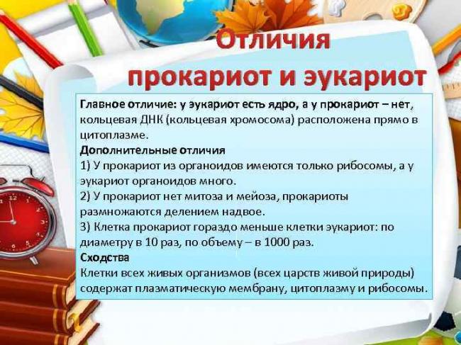 Сходства и различия в строении клеток растений, животных, грибов