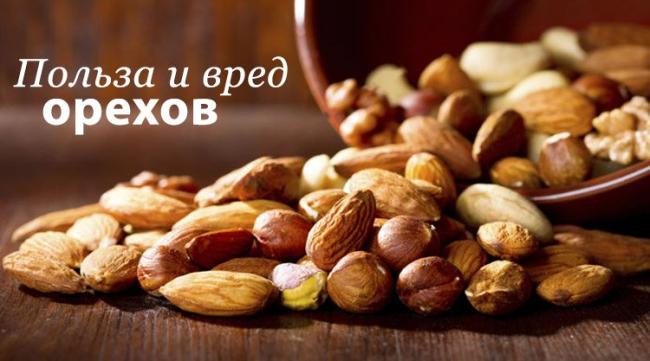 Ценный состав грецкого ореха: как влияет на сердце и сосуды?