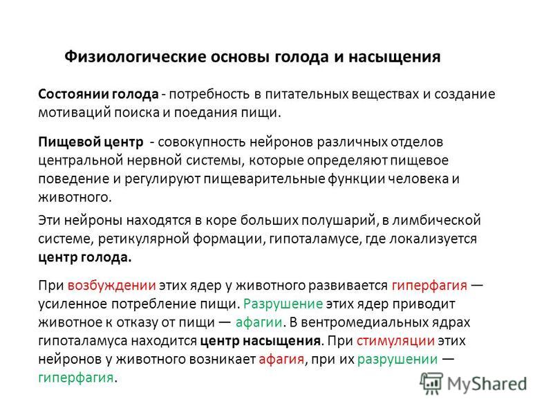 О чем говорит постоянное чувство голода