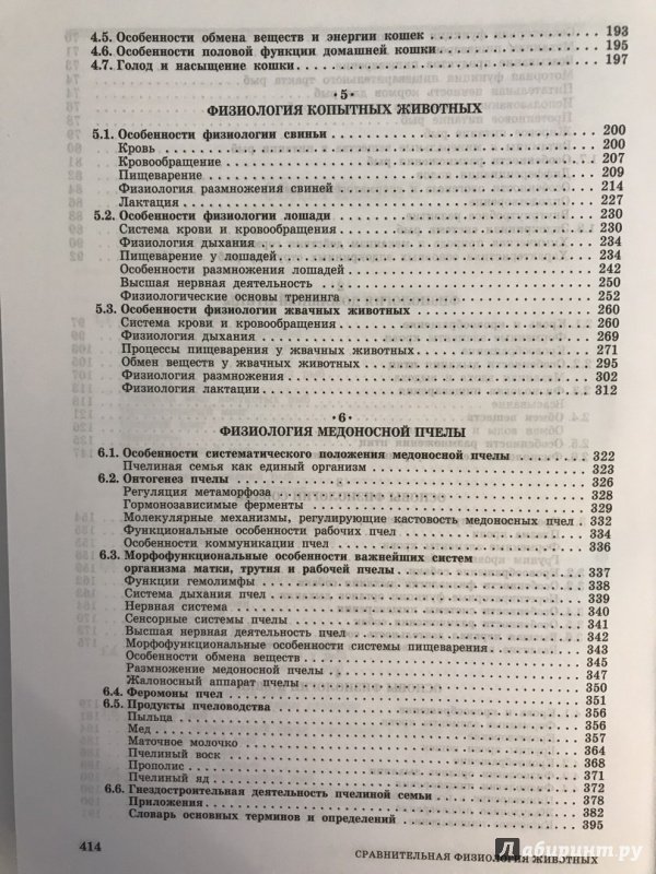 Аппетит