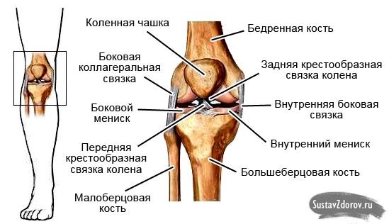 Реабилитация и восстановление после разрыва связок коленного сустава