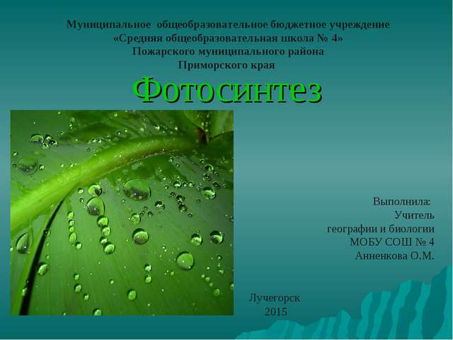 Фотосинтез