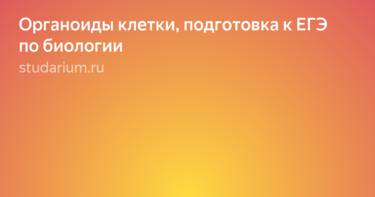 Ворсинки (фимбрии, пили) бактерий