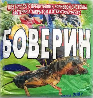 Как избавиться от медведки - самые лучшие методы и средства