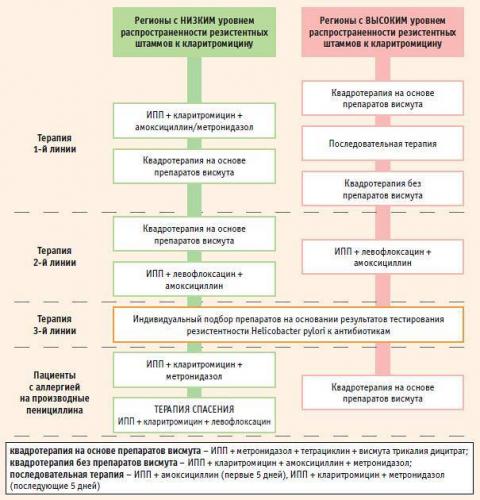 Бактерия хеликобактер есть почти у всех, как распознать и как бороться?