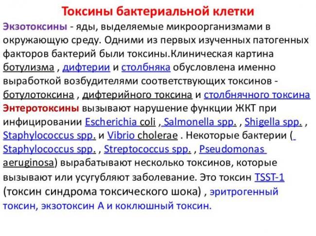 «все могут короли…», или многообразие бактериальных свойств