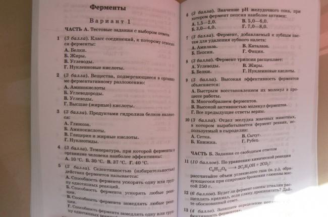 Все про углеводы: виды, значение, источники и функции углеводов в организме человека