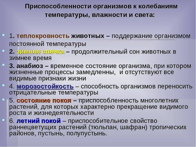 Анаэробные организмы