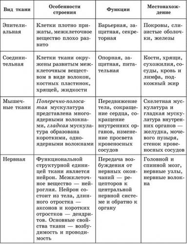 Эпителиальная и соединительная ткань 2020