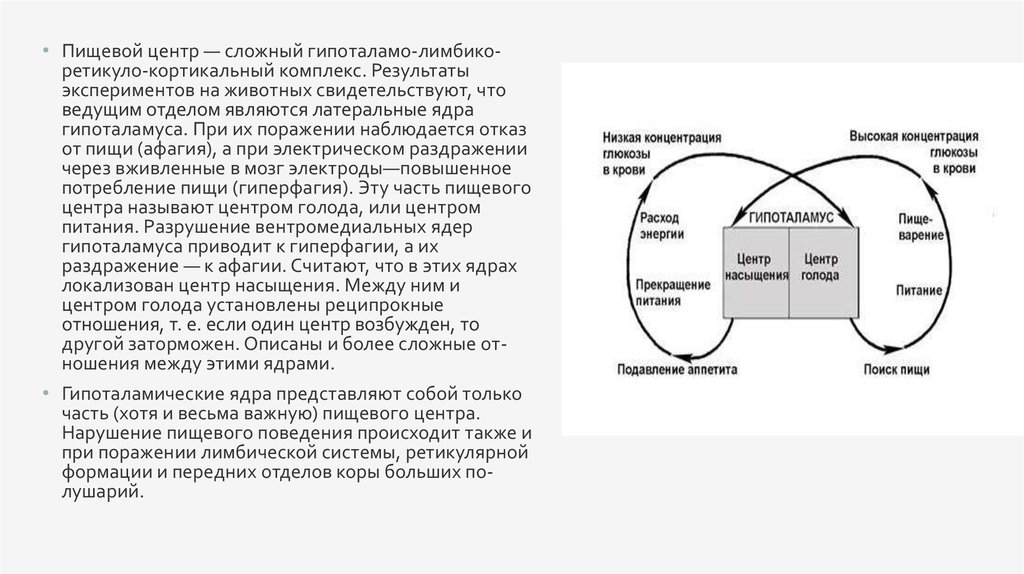 С чем связано постоянное желание кушать | food and health