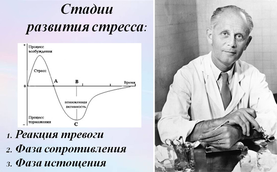 Назначение и характеристика гормонов стресса