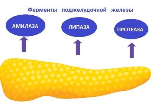Инструкция по применению
