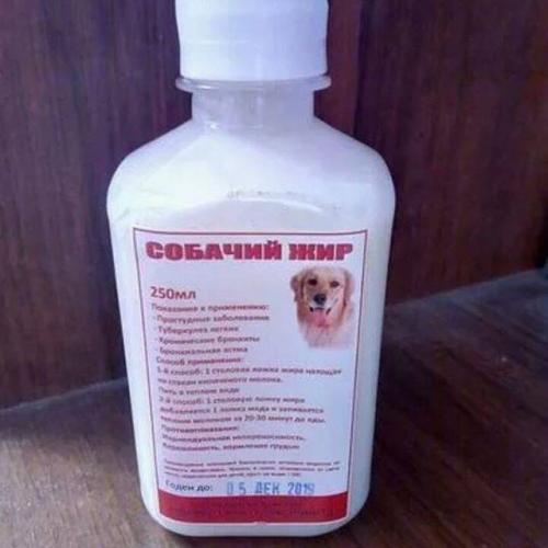 Помогает ли собачье мясо от туберкулёза — правда или вымысел?