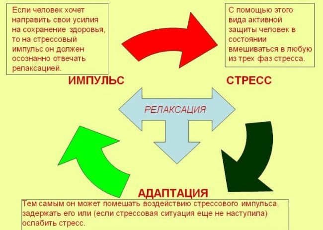 Гормон стресса кортизол и его влияние на организм