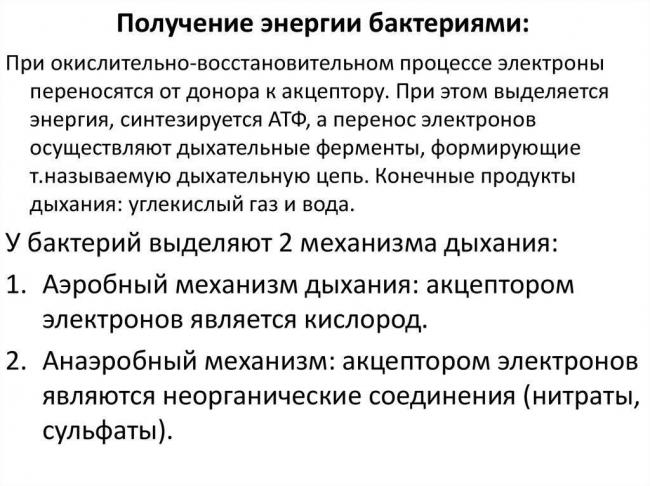 Особенности культивирования и выделения аэробных и анаэробных бактерий