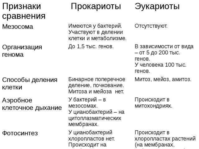 Чего не имеют бактерии: критично ли отсутствие органов