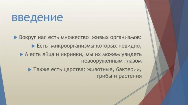 Польза и вред бактерий для человеческого организма