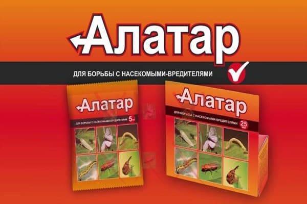 Препарат алатар применение отзывы