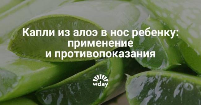 Можно ли капать алоэ в нос ребенку