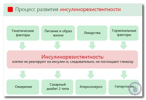 Инсулинорезистентность: диета и лечение