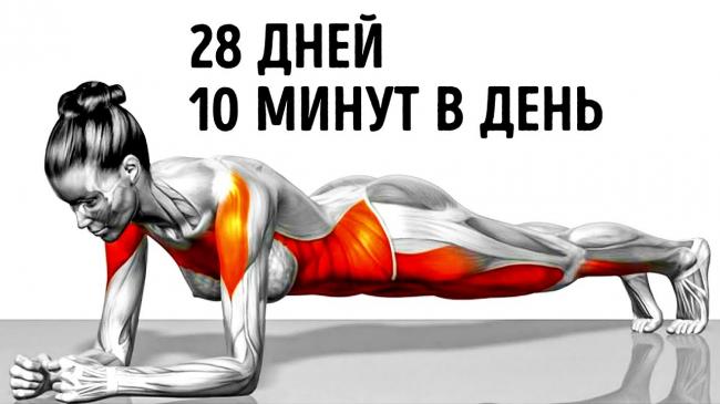 Высокоинтенсивная интервальная тренировка: 15 самых эффективных упражнений
