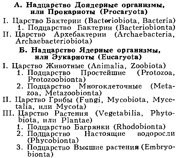 Бактерии метановые
