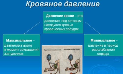 ИНДИГАЛ ПЛЮС