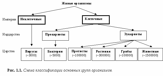Читать книгу биология. многообразие живых организмов. бактерии, грибы, растения. 7 класс н. и. сонина : онлайн чтение - страница 2