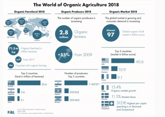 Культурная глобализация - cultural globalization - qwe.wiki