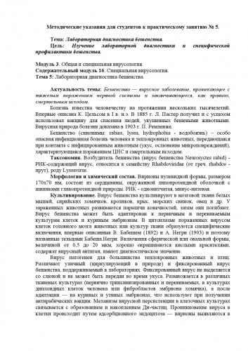 Бешенство у детей - симптомы болезни, профилактика и лечение бешенства у детей, причины заболевания и его диагностика на eurolab