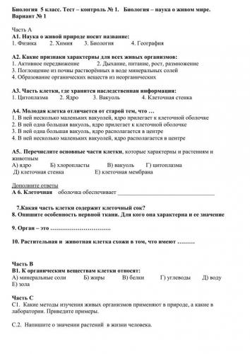 Углеводы и их роль в жизнедеятельности клетки