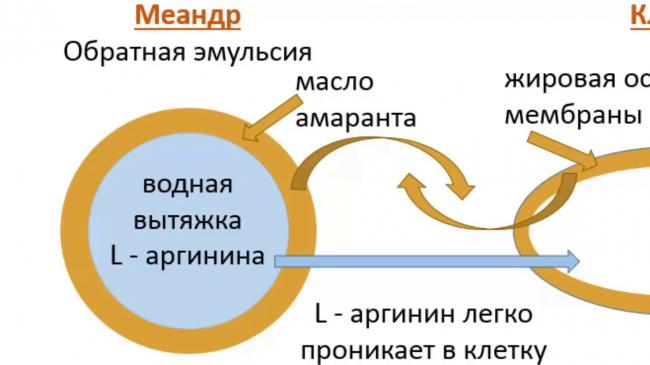 Карнозин эвалар — отзывы