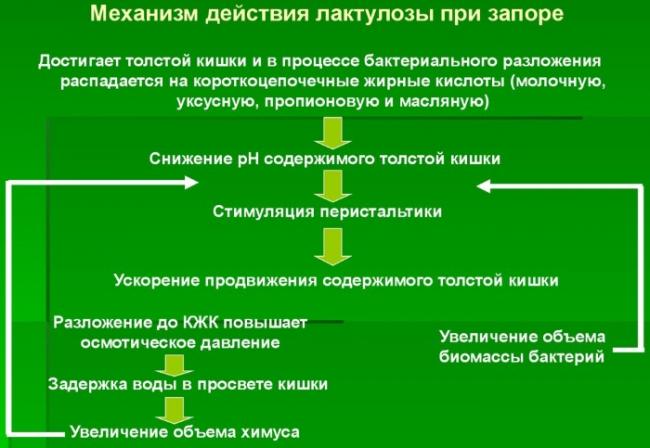 Что такое кумарин, чем он полезен для организма и где его применяют