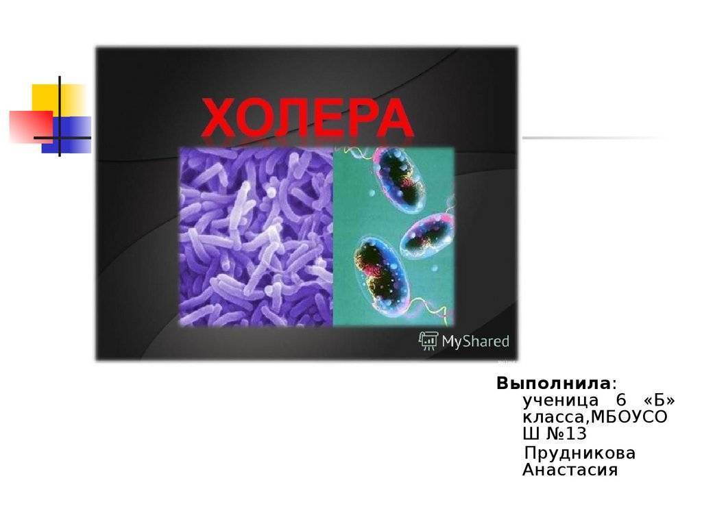 Холера