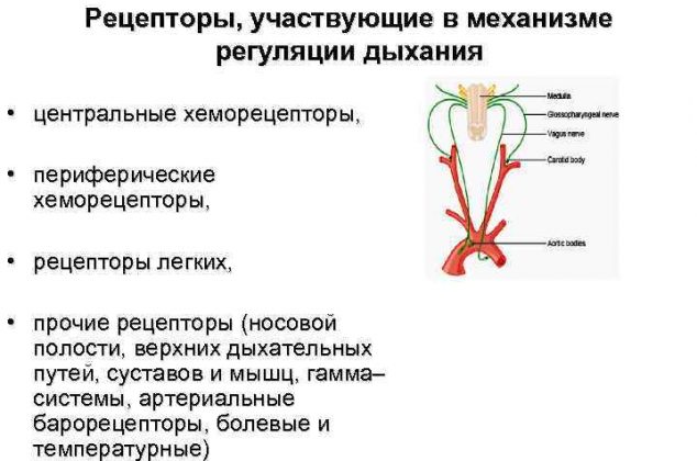Левопронт