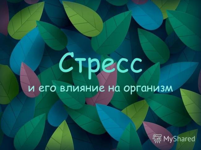 Пролактин кортизол гормоны стресса у женщин и мужчин, как уменьшить
