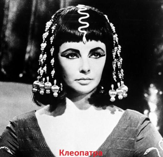 Интересные факты из жизни клеопатры — биография царицы египта