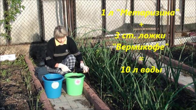 Биопрепарат «метаризин» – особенности применения (инструкция, состав, регламент, аналоги, ограничения)