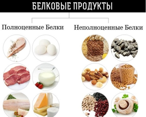 Сушка как эффективная жиросжигающая диета