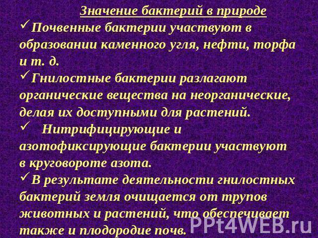 § 12. роль бактерий в природе и жизни человека