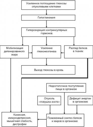 Урсоловая кислота — sportwiki энциклопедия