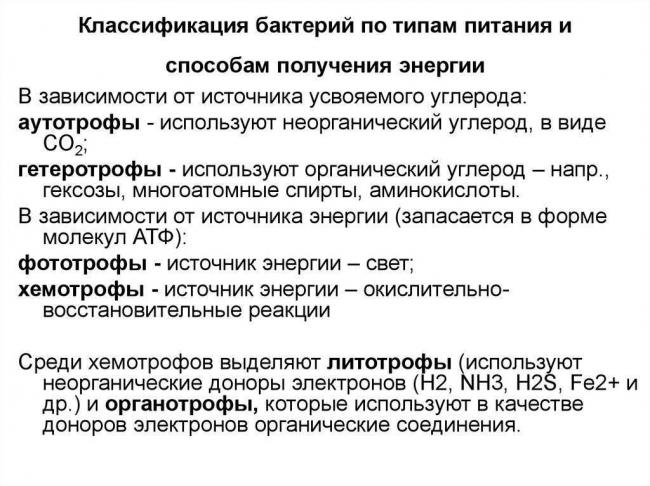 Анаэроб википедия