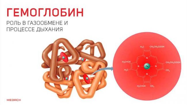 Гемоглобин — википедия с видео // wiki 2