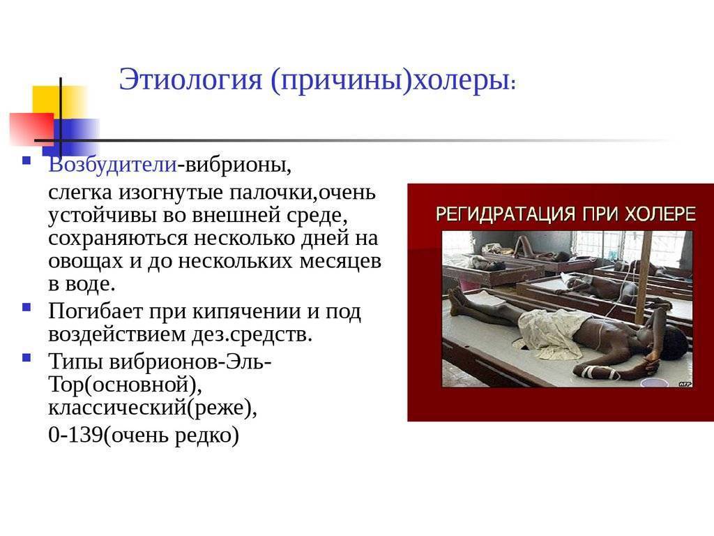 Холера. причины, симптомы и признаки, диагностика и лечение болезни