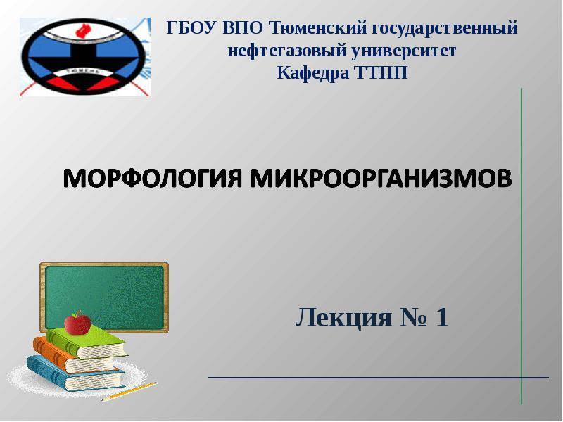 Эти уникальные одноклеточные бактерии
