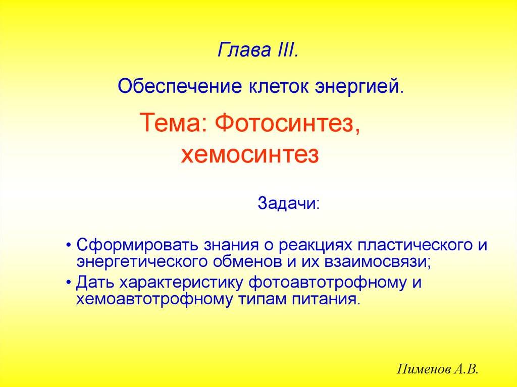 Секреты цветных бактерий: фотосинтез и его особенности