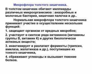 Какие болезнетворные бактерии являются виновниками большинства расстройств пищеварения