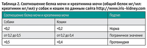 Белок мочи у беременных