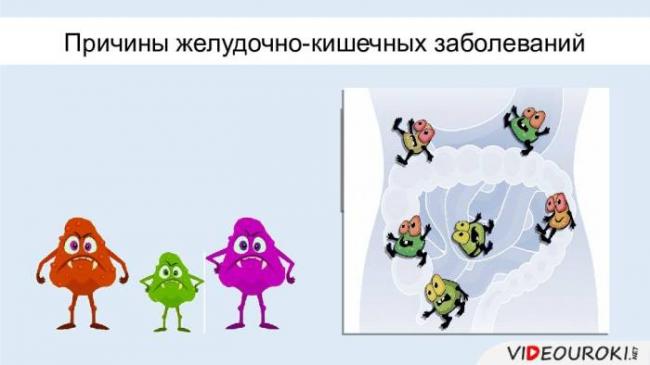Малые, да удалые, или чем могут быть опасны болезнетворные бактерии