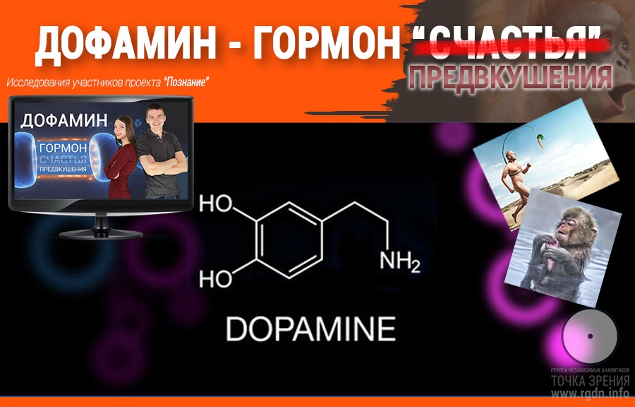Грелин — википедия. что такое грелин